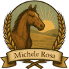 Michele Rosa Insurance Agency